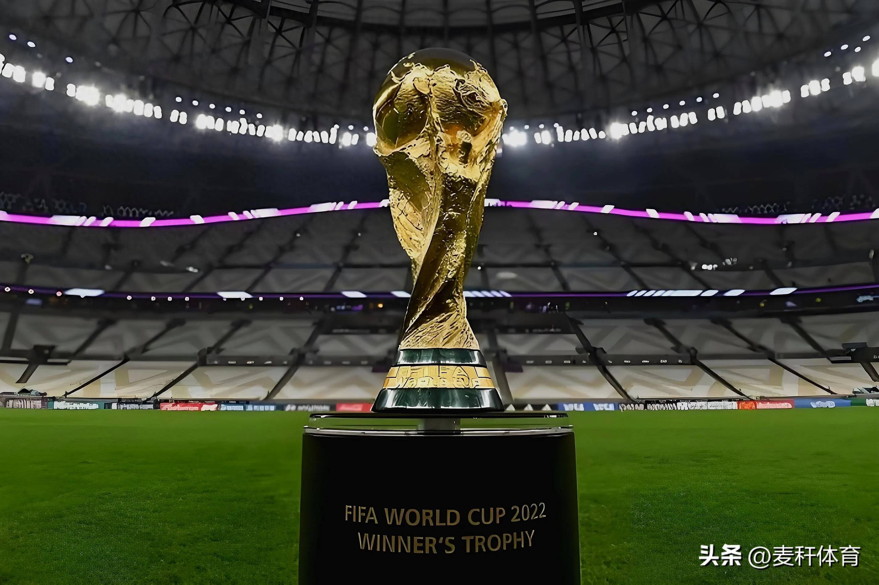 验和职业态 验和职业态