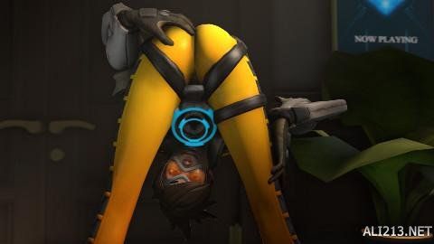 球队的命运 球队的命运